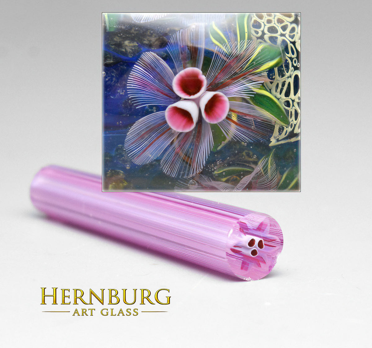 Murini flowers. FANFARE . Sticks 5 cm long. Materials for lampwork. Glass COE104