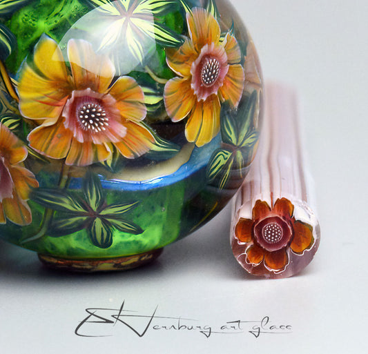 Murrini. Sunlit Anemone. Sticks 5 cm long. Materials for lampwork. Glass COE104