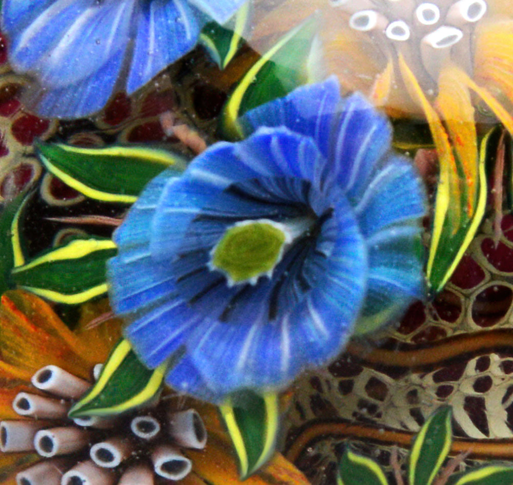 Blue Poppy Murrini - full process. Digital product